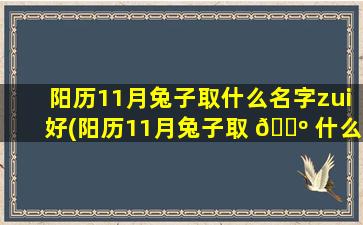 阳历11月兔子取什么名字zui
好(阳历11月兔子取 🌺 什么名字zui
好女孩)